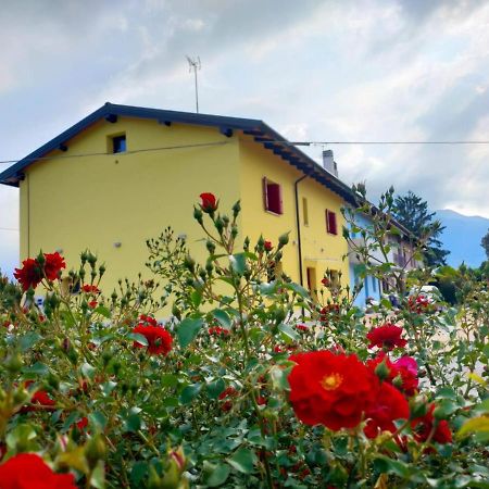 B&B Rio Rai Alpe Adria Gemona del Friuli Eksteriør bilde
